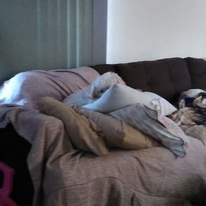 Meet your Posher, Regina